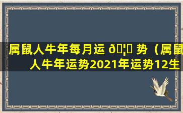 属鼠人牛年每月运 🦊 势（属鼠人牛年运势2021年运势12生肖）